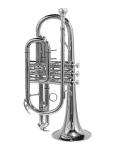 Kornett Bb versilbert Stewart Ellis – Pro Series mit Softcase 