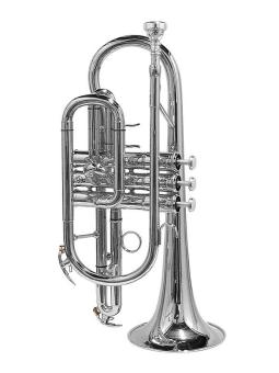 Kornett Bb versilbert Stewart Ellis – Pro Series mit Softcase 