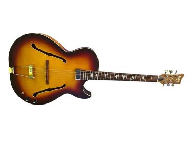 Oberkrainer Gitarre Jazz Gitarre Rems OG-505A Sunburst inkl. Koffer 