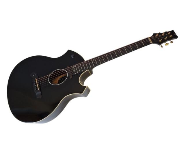 PARKER P8E Elektro Akustikgitarre mit Koffer 