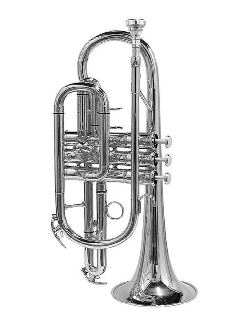 Kornett Bb versilbert Stewart Ellis – Pro Series mit Softcase 