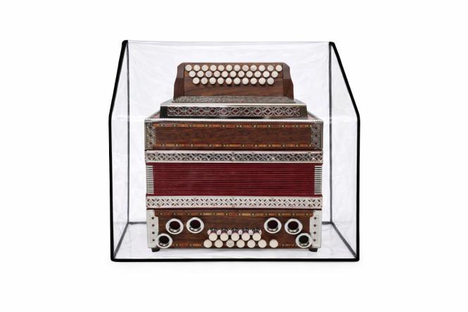 Steirische Harmonika Abdeckhaube Staubschutz Cover Transparent, 3-reihig 